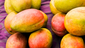 Mangues fraîches de haute qualité, mûries naturellement, sucrées et juteuses, fruits tropicaux pour l'exportation en gros et les marchés mondiaux Autriche - Product Image 3
