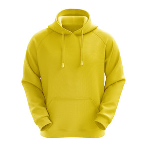 Nouveau design – Sweat à capuche épais pour homme, en molleton uni, coupe ajustée, couleur unie, en coton, à enfiler, manches longues, avec logo personnalisé - Product Image 1