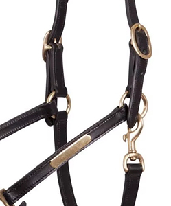 Top Quality Equestrian Premium English Leather Adjustable Horse <b>Halter</b> with Brass Hardware for Horse Riding Equipment - Product Image 3