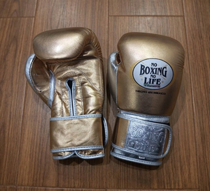 Gants de boxe professionnels No Boxing No Life en cuir de vachette de qualité supérieure, personnalisables, légers, avec sangle de poignet réglable et fermeture auto-agrippante - Product Image 2