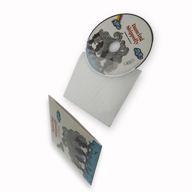 Custom 10 Panel Booket CD Wallet Packaging with Non-woven Sleeve