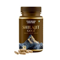 Pure Shilajit HerbalCapsules Boost Stamina Energy & Vitality avec Minéraux Naturels OEM ODM Export Japon