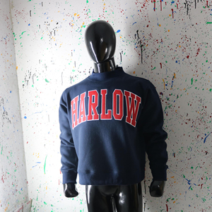 Sudadera Harlow Azul Marino con Cuello Alto, Corte Regular, Algodón, Estampado de Letras en la Parte Delantera, Unisex, para Otoño, CLUSH SPORTS - Product Image 6
