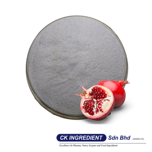 Jugo de Granada en Polvo de Primera Calidad, Halal, OEM, B2B, Mejor Proveedor Garantizado, Bebida Superalimento Antioxidante para la Salud del Corazón - Product Image 2