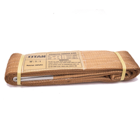 Sangle en polyester marron de force industrielle Provina 6000kg Heavy Duty levage Transport remorquage personnalisé OEM/ODM modèle plat