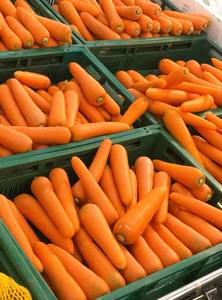 Légume biologique frais, nettoyé et lavé à l'eau, orange et carotte, à forte teneur en jus, brillant et sucré, produit agricole, qualité export en vrac - Product Image 2