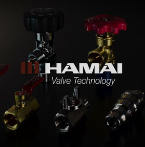 Vanne à diaphragme haute pression en acier inoxydable série HAMAI FS-55L pour gaz semi-conducteurs - Product Image 3