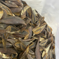 Fournisseur mondial d'opercules naturels, opercules de marque Viet Delta provenant de sources durables, emballées en boîte.