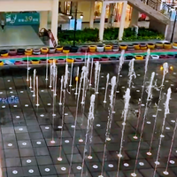 Fontaine flottante extérieure en acier inoxydable avec PLC programmable, spectacle aquatique musical et laser, équipement à sec à vendre