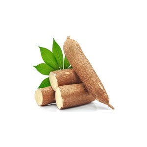 Amidon de manioc frais biologique entier, variété prête à l'emploi, provenant d'Afrique du Sud, avec une durée de conservation de 2 mois - Product Image 3