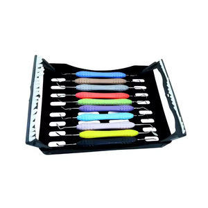 Kit d'instruments de restauration dentaire en composite 10 pièces avec cassette de stérilisation – Équipements de remplissage dentaire – Fournisseur en gros - Product Image 2