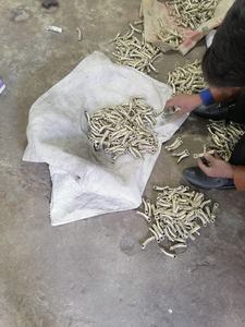 Anillos Sueltos de Acero Inoxidable de Moda con Detalles de Colores para Productos Ecuestres - Product Image 5