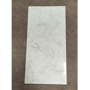 Azulejos de pared digitales de cerámica de alta calidad de 30×60 cm con impresiones HD modernas, perfectos para baños, cocinas y paredes interiores. - Product Image 4