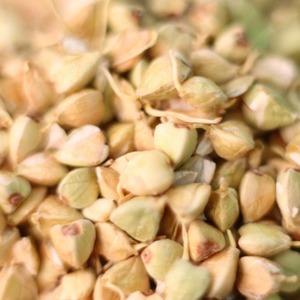 Graines de sarrasin torréfiées brunes les plus vendues – Meilleur prix pour graines de sarrasin séchées naturelles en vrac, emballage sous vide, France, 25 kg, 24 mois - Product Image 1