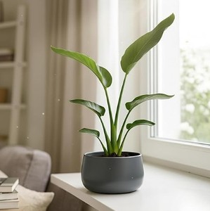 Elegante Maceta de Metal para Flores, para Sala de Estar y Oficina, Maceta Premium para Suculentas de Sobremesa, Maceta Decorativa Moderna y Regalo para el Hogar - Product Image 6