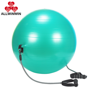 Pelota de Ejercicio ALLWINWIN EXB07 - Bomba de Aire Manual para Inflar, Ejercicios Abdominales - Product Image 1