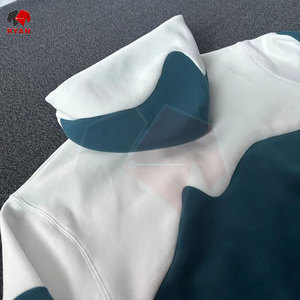 Ryan Pro Gear : Sweats à capuche personnalisés pour hommes, logo personnalisé, couleur personnalisée, grandes tailles, services OEM et ODM disponibles. - Product Image 4