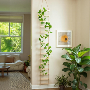 Treillis en bois pour plantes d'intérieur, treillis suspendu pour plantes grimpantes, pour usage intérieur et extérieur, vente en gros du Vietnam - Product Image 2