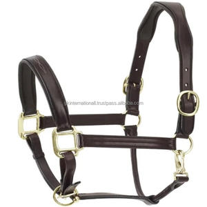 Fancy Stitched <b>Padded</b> Leather Horse Halter Adjustable Double Crown Brass Buckle Anatomical Halter Horse - Product Image 4