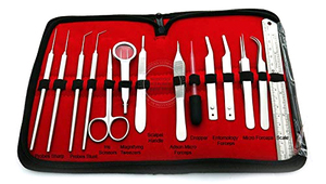 Kit de Disección Entomológica, Kit de Disección para Estudiantes, Herramientas de Disección, Suministros para Insectos de Mahfooz Instruments - Product Image 4