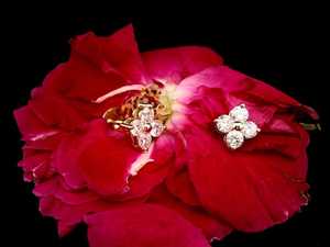 Lab Grown Round Cut Diamond Floral Cluster <b>Stud</b> <b>Earrings</b> 14K Solid Gold <b>Fine</b> Jewelry Wedding Party Bridal Gift for Partners - Product Image 5