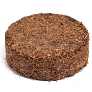 Pellets de Turba de Coco Orgánica al por Mayor para una Germinación de Semillas sin Esfuerzo, Agricultura, Horticultura, 5 Años de Vida Útil, con Descuento - Product Image 1