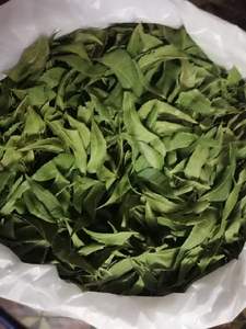 Hojas de Neem Crudas de la Más Alta Calidad, Nuestras Hojas Seleccionadas con Cuidado para Brindarle las Mejores Hojas de Neem Naturales - Product Image 3