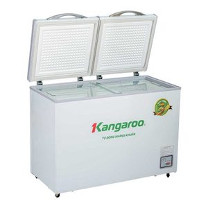 Congelador eléctrico con evaporador de cobre, 2 compartimentos, 200L, 300L, 400L, 500L, puertas dobles - Product Image 5