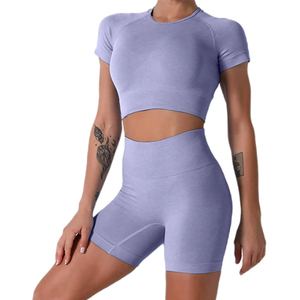 Casual Wear Wholesale High Quality Women Sports Gym Wear Workout <b>Set</b> Crop Top 2 Piece Seamless Sleeveless Yoga <b>Set</b> - Product Image 3
