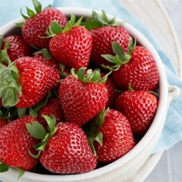 Beste prijs verse blauwe bessen bulk zoet 100% natuurlijk fruit nieuwe oogst groothandel hoge kwaliteit GMO 25kg vanaf de oorsprong