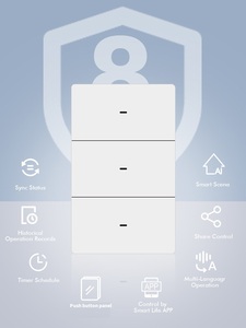 Brasilien Argentinien Smart Wireless Lichtschalter Doppel-Gang-Schalter Intelligenter WLAN-Lichtschalter 2-Tasten Smart Home Kit Schalter 240V - Product Image 3