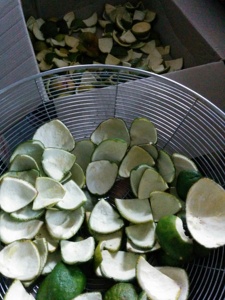 Poudre d'Écorce d'Orange du Vietnam de Qualité Supérieure en Gros, Poudre Naturelle d'Écorce d'Agrumes pour Aliments, Boissons, Thé, Pâtisserie, Savon et Marque Privée - Product Image 5