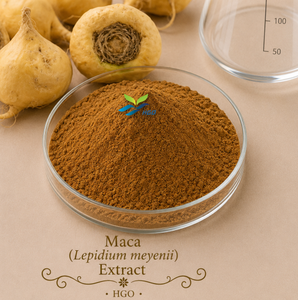 Hgo สารสกัดจาก Maca ธรรมชาติบริสุทธิ์ (Lepidium meyenii) จากโรงงานโดยตรง (เกรดอาหาร) ข้อมูลจำเพาะ10:1 (สารสกัดอัตราส่วน) - Product Image 1