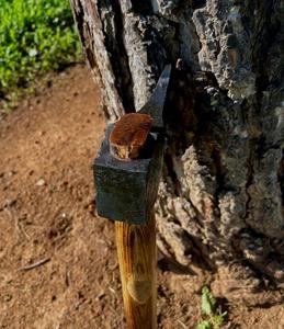 Product palace LLC Hot Selling industrial Design Handmade Hand-Forged High Carbon Steel Vikings Axe Custom OEM Ashwood Handle - Product Image 4