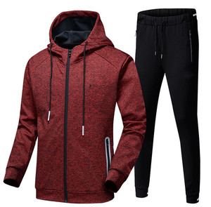 Conjunto Deportivo de Moda para Hombre Otoño-Invierno 2025, Logotipo Personalizado, Ropa Casual, Sudaderas con Capucha y Pantalones Deportivos, Venta al Por Mayor - Product Image 4