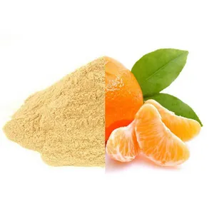 Poudre d'orange déshydratée naturelle et de haute qualité, poudre de fruits secs premium pour rehausser la saveur et assaisonner, export en vrac vers l'Inde - Product Image 4