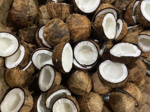 Chispas de Coco Deshidratadas para un Snack Crujiente, Ingrediente de Coco Deshidratado, Mezcla Keto Vegana para Dieta, de Fábrica en Vietnam - Product Image 6