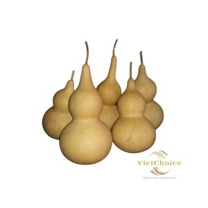Matériaux en gros de calebasse séchée brute non peinte pour l'artisanat - Product Image 2