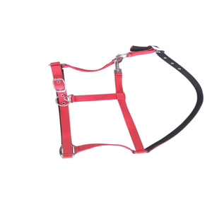 Custom Made Red Nylon Rope Horse Halter <b>Adjustable</b> <b>Strap</b> Durable High Quality Premium Fittings Equestrian Racing Riding - Product Image 5