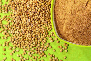 Poudre de coriandre indienne de première qualité, nouvelle saison, 100% pure, authentique, fraîche, aromatique, épice du Gujarat, durée de conservation de 24 mois pour les acheteurs en gros - Product Image 2