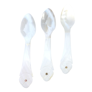 Unique Fish Flower MOP <b>Shell</b> Spoon Long Handle <b>Mirror</b> Polish Custom Logo Engraved Professional Tasting Tool Storage - Product Image 2