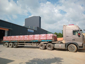 GREENFIX C2TE Super Adhésif pour Carrelage, Mortier Cimentaire Haute Résistance, Longue Durée de Vie (12 Mois), Projets de Construction - Product Image 5