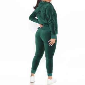 Sophisticated Solid Plain Two Piece Plus Size Minimalist Autumn Leisure Wear Aesthetic Velvet <b>Track</b> <b>Suit</b> - Product Image 2