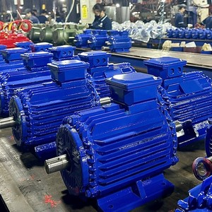 Motor Eléctrico Trifásico de CA de 380V y 3000 RPM, Cuerpo de Hierro Fundido, Montaje en Pedestal TOAN PHAT, 12 Meses, 50Hz-60Hz - Product Image 3