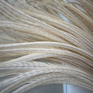 Plumas de Faisán Reeves Blancas de 140 cm de Largo al por Mayor para Disfraces de Samba, Decoración de Carnaval, Espectáculos y Tocados - Product Image 2