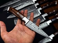 Viking Art Handgemaakte 67-laags Damascus staal scherpe duurzame messenset met rechte snede, 9-delig, houten ambidextere handgrepen
