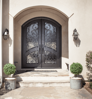 Portes d'entrée doubles extérieures en fer forgé et verre pour villa, finition personnalisable, étanches, garantie 3 ans