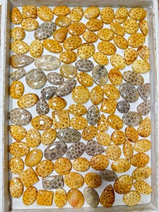 Lot de pierres naturelles agatifiées de corail fossile, cabochons à motifs rares, pierres précieuses en vrac pour la fabrication de pendentifs, bagues et bijoux - Prix de gros - Product Image 4