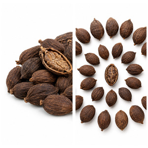 Top Selling Best Price Vietnam Manufacturer Supply Top Notch Quality Delicious Black Cardamom 25kg/carton - Product Image 5