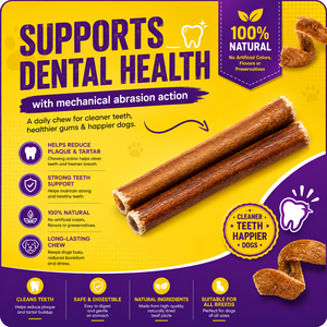 Premium Natural Bully <b>Stick</b> Chews for Dogs Long Lasting Dental Care Bone Health Support All Breeds OEM ODM Private Label Treats - Product Image 5